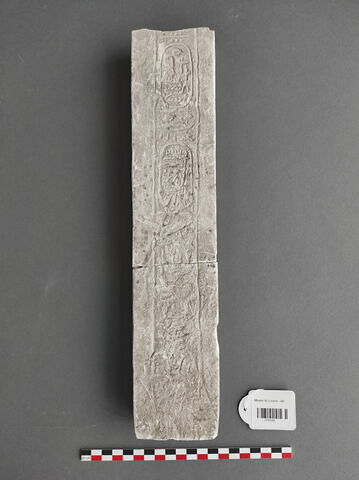 Moulage d'une inscription verticale au nom de Ramsès II, image 1/1