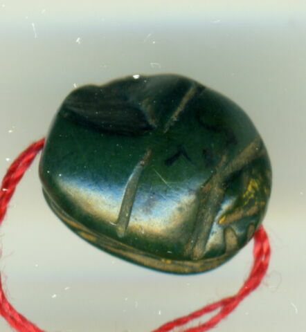 scarabée, image 2/2