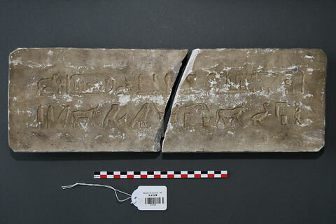 Moulage de l'inscription du sarcophage de l'Apis de Khababach, image 1/1