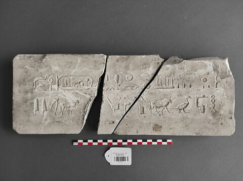 Moulage de l'inscription du sarcophage de l'Apis de Khababach, image 1/1