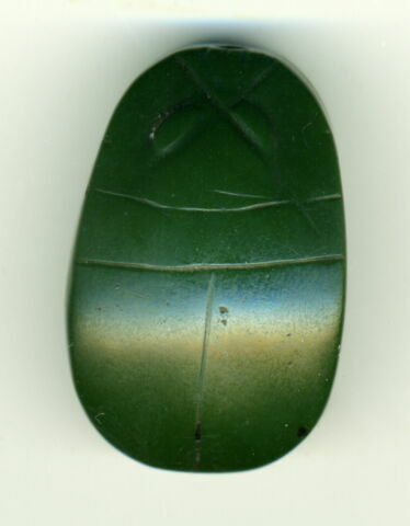 scarabée, image 2/2