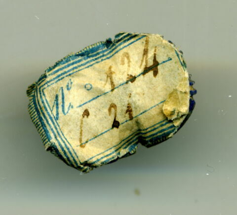 scarabée, image 2/2