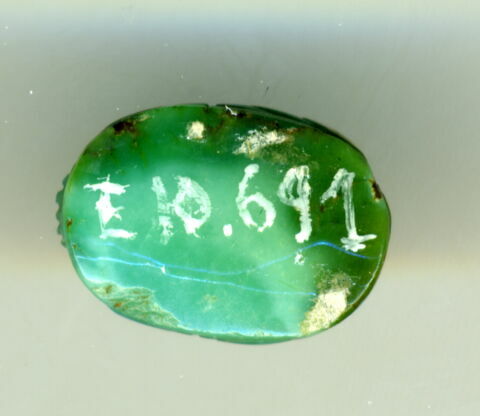 scarabée, image 2/2