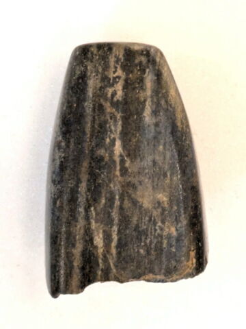 perle fusiforme, image 2/2