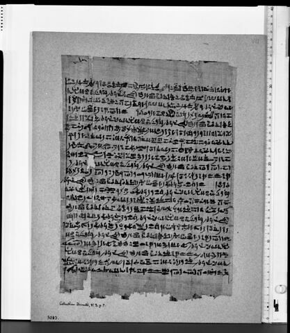 papyrus funéraire, image 2/2
