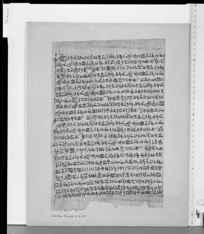 papyrus funéraire, image 2/2
