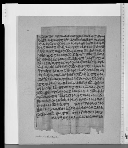 papyrus funéraire, image 2/2
