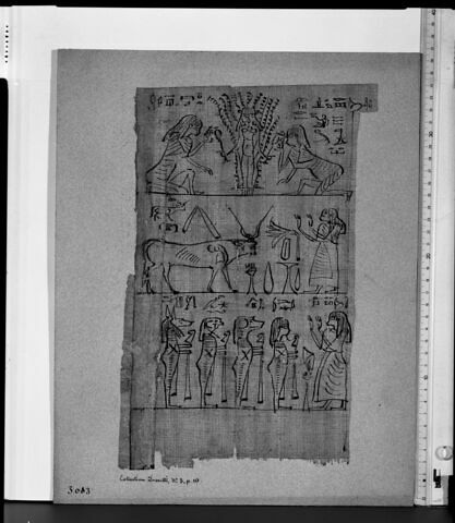 papyrus funéraire, image 2/2