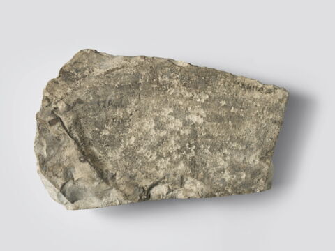 ostracon