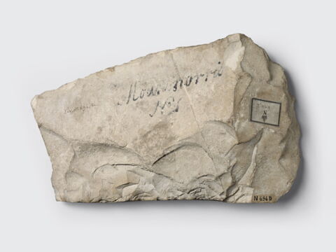 ostracon, image 2/2