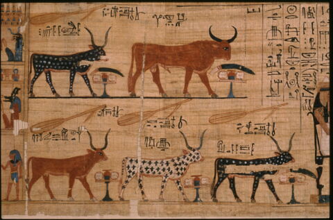 papyrus funéraire, image 3/4