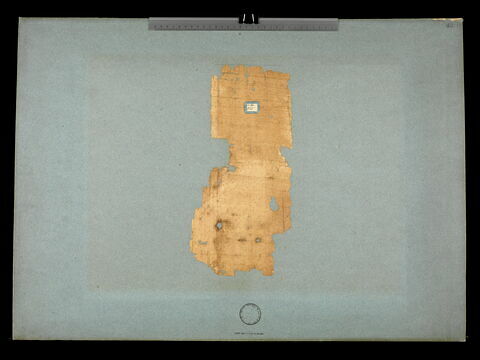 papyrus, image 2/2