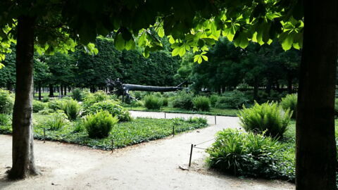 Arbre des voyelles (L')
