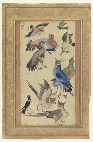 Dix oiseaux (page d'album)