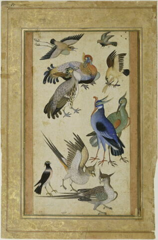 Dix oiseaux (page d'album), image 3/3