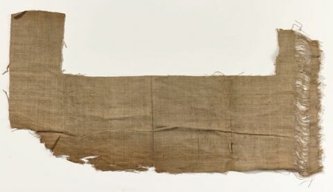 tissu ; fragment