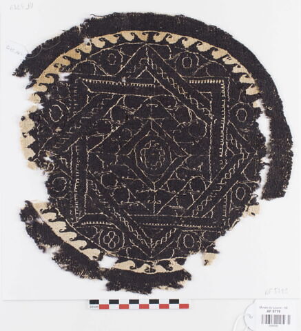 orbiculus ; fragment