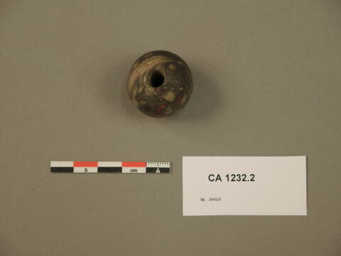 fusaïole, image 1/2