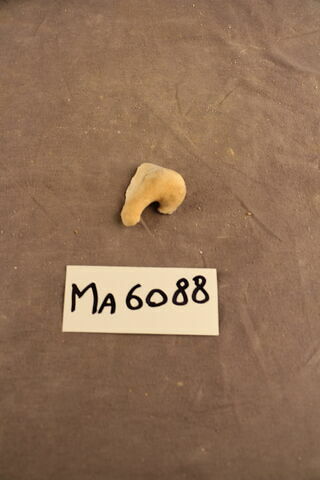 fragment