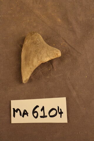 fragment, image 2/2