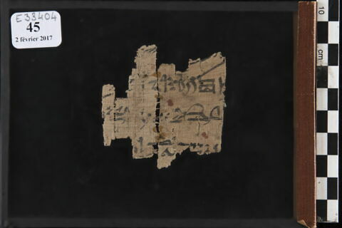 papyrus