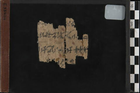 papyrus, image 2/2
