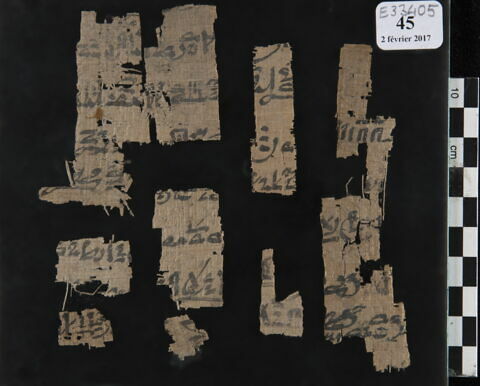 papyrus