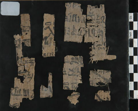 papyrus, image 2/2