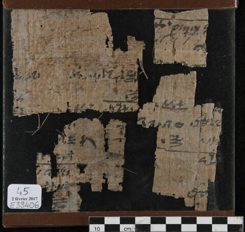 papyrus