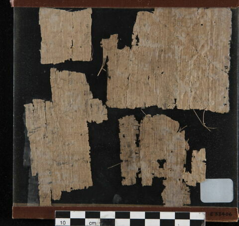 papyrus, image 2/2