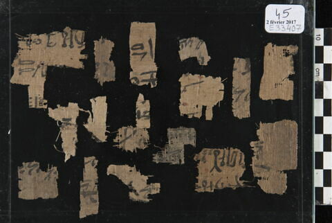 papyrus