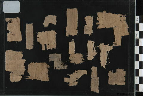 papyrus, image 2/2
