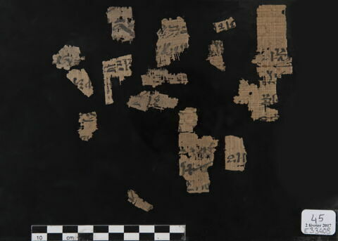 papyrus