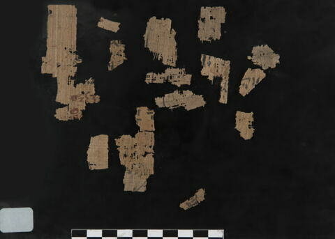 papyrus, image 2/2