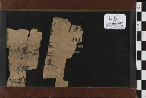 papyrus