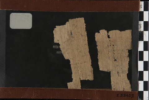 papyrus, image 2/2