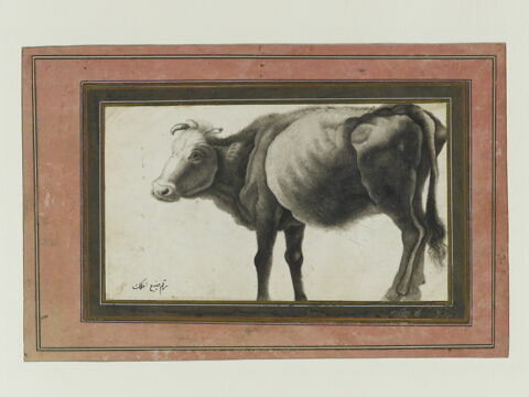 Vache (page d'album), image 2/3