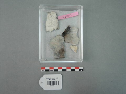 os, image 4/9