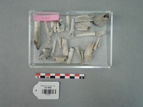os, image 9/9