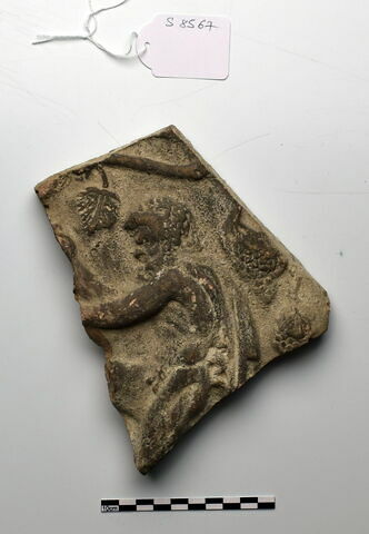 plaque Campana