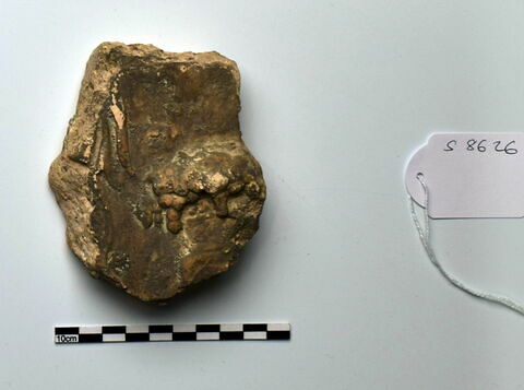 plaque Campana
