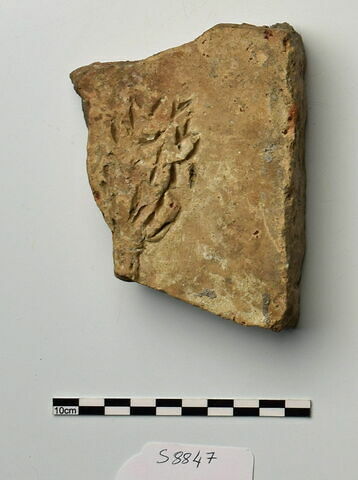 plaque Campana