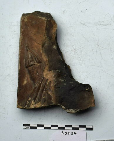 plaque Campana