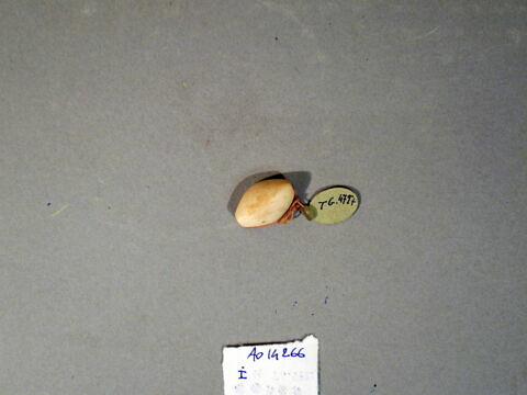 cachet ; perle, image 6/17
