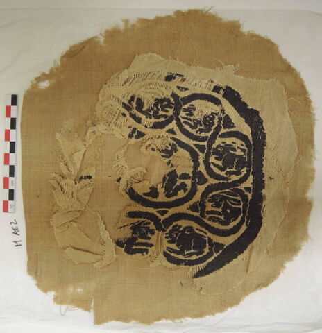 orbiculus ; fragments, image 2/2