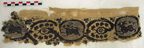 clavus ; fragment, image 2/2