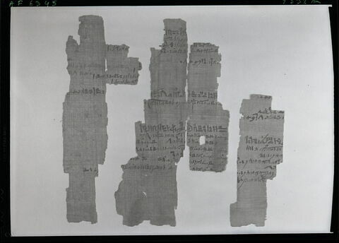 papyrus documentaire, image 17/18