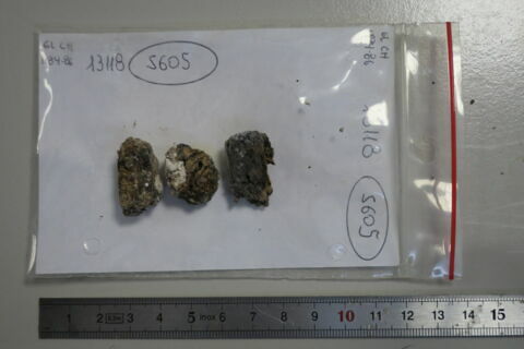 objet indéterminé, fragment, image 1/2