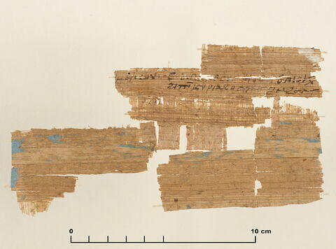 papyrus documentaire, image 2/2