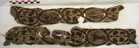 clavus, image 2/2